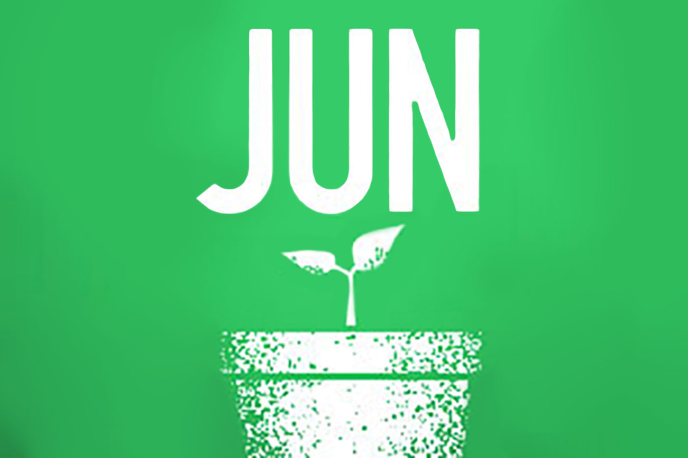 flower pot with seedling and JUN in background